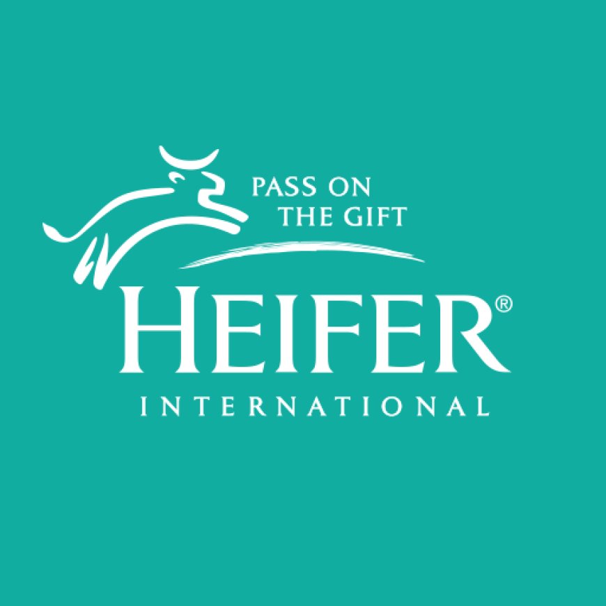 Nafasi ya kazi :- HR Consultant at Heifer International May 2025