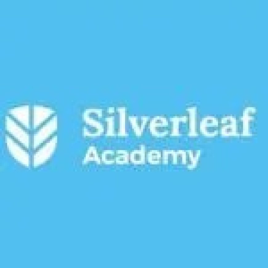 Nafasi ya kazi :- Executive Assistant at Silverleaf Academy Ltd May 2025