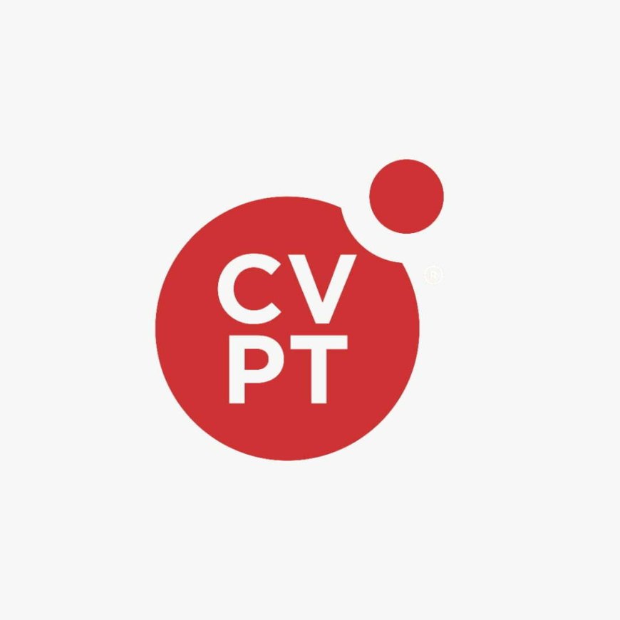 Financial Accountant at CVPeople Tanzania