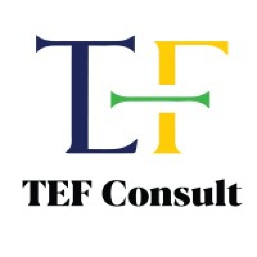 HR Manager Job Vacancy at TEF Consult