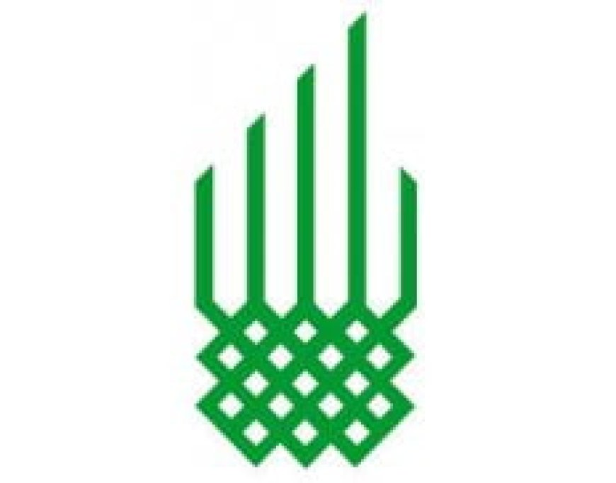 Project Assistant at Aga Khan Foundation