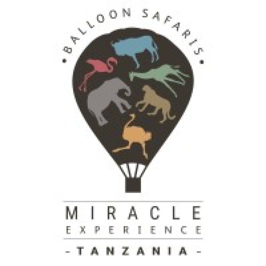 Sales Agents at Miracle Experience Tanzania