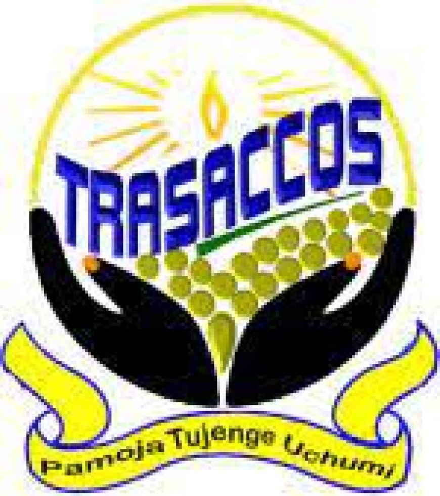 Human Resources Intern Job Opportunity at TRA SACCOS
