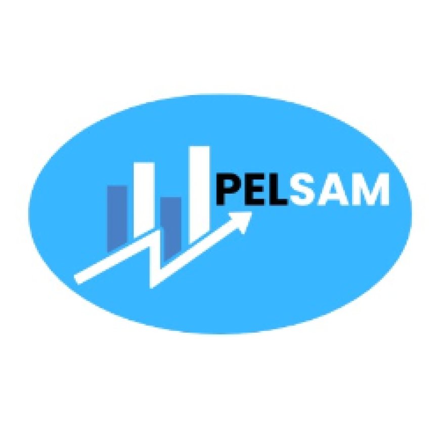 Senior Sales And Marketing Officer at Pelsam Limited