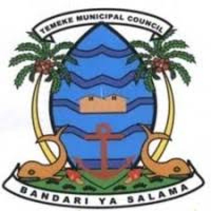 Temeke Municipal Council Job Vacancies, 17 Positions | July 2025