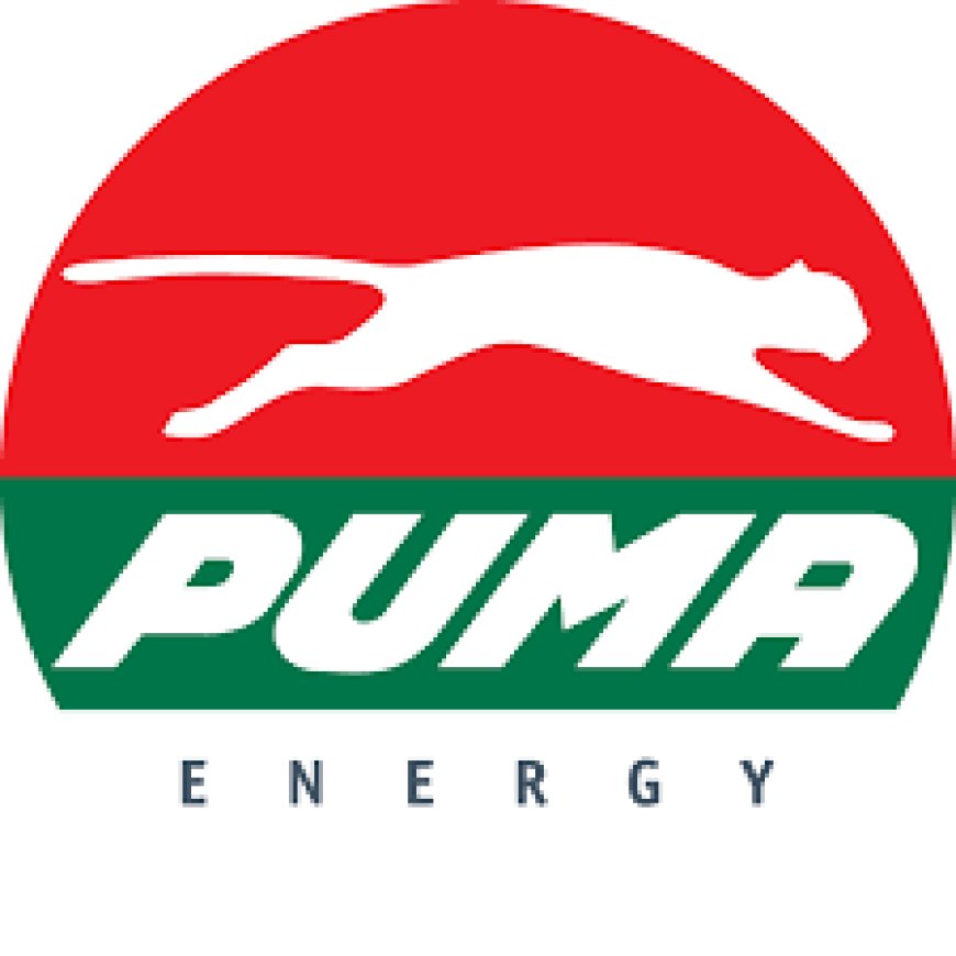 CNG Station Supervisor Job Vacancy at Puma Energy