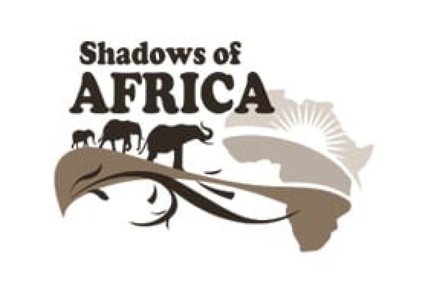 CPA Accountant Job Vacancy at Shadows of Africa