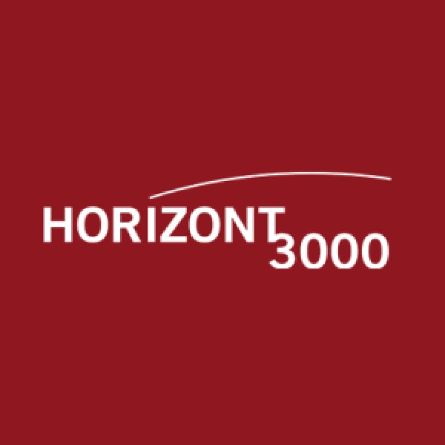 Project Management Advisor Job Vacancy at Horizont3000