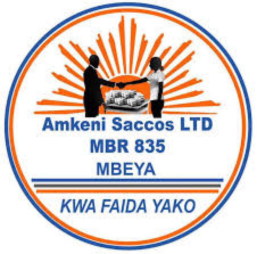 Chief Accountant Job Opportunity at Amkeni Saccos LTD