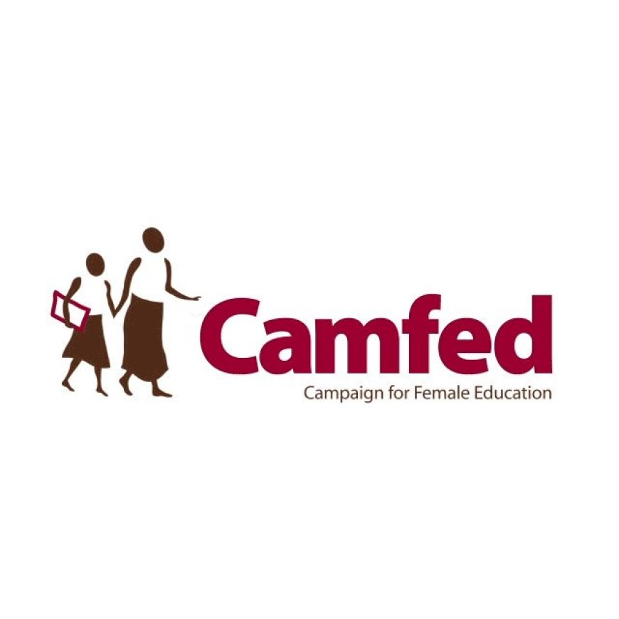 Finance Officer Job Vacancy at CAMFED