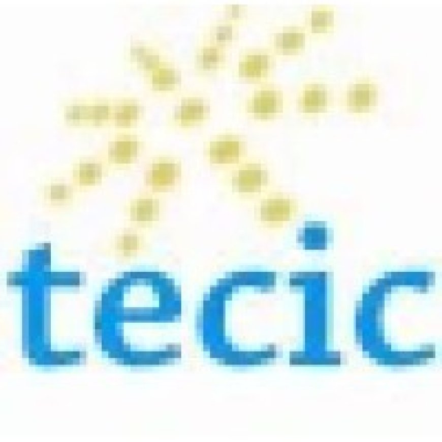 Graduate Program Fiber Network Engineer at TECIC Tanzania