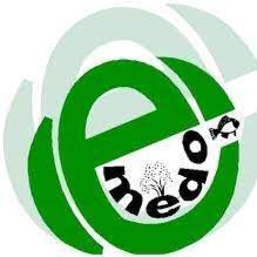 Consultancy Opportunity at EMEDO