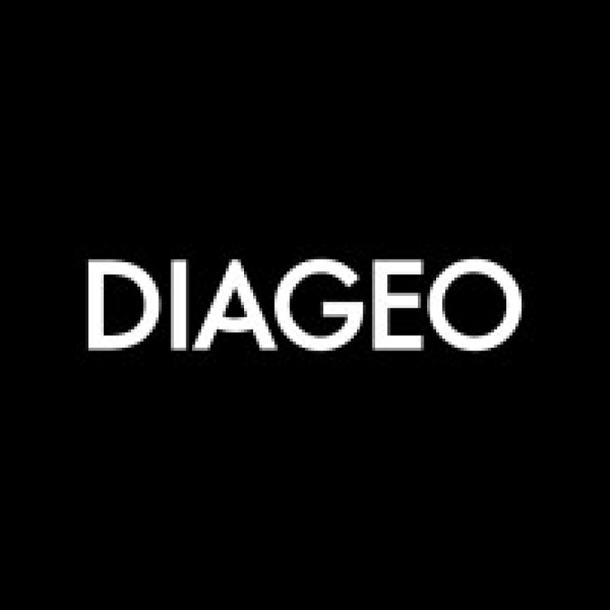 Reward Specialist Job Vacancy at Diageo