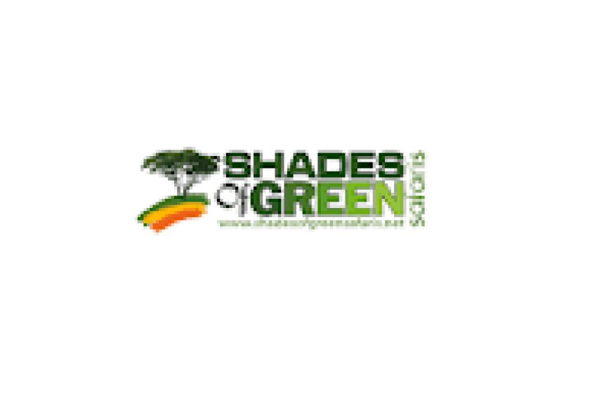 Assistant Accountant – 2 Posts at Shades of Green Safaris