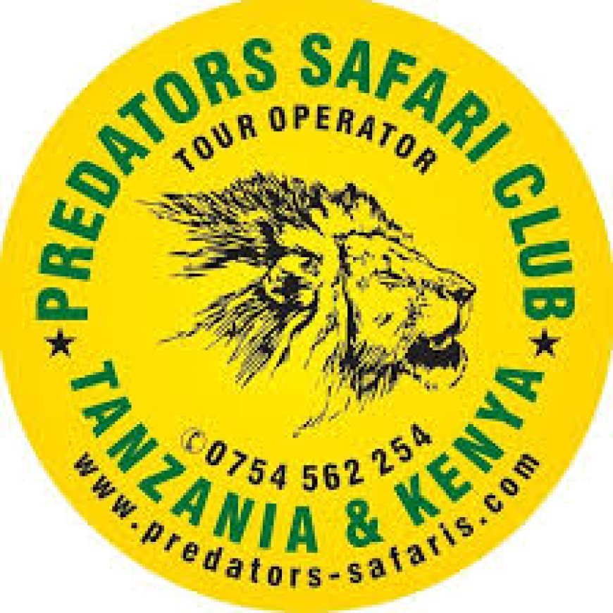 Tour Guide Driver Job Vacancy at Predators Safari Club