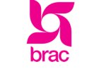 223 Program Assistant Job Vacancies at BRAC Tanzania