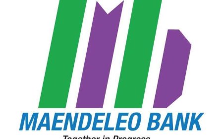 Relationship Officers – 6 Positions at Maendeleo Bank