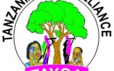 TAYOA Job Vacancies, 4 Positions – September 2025