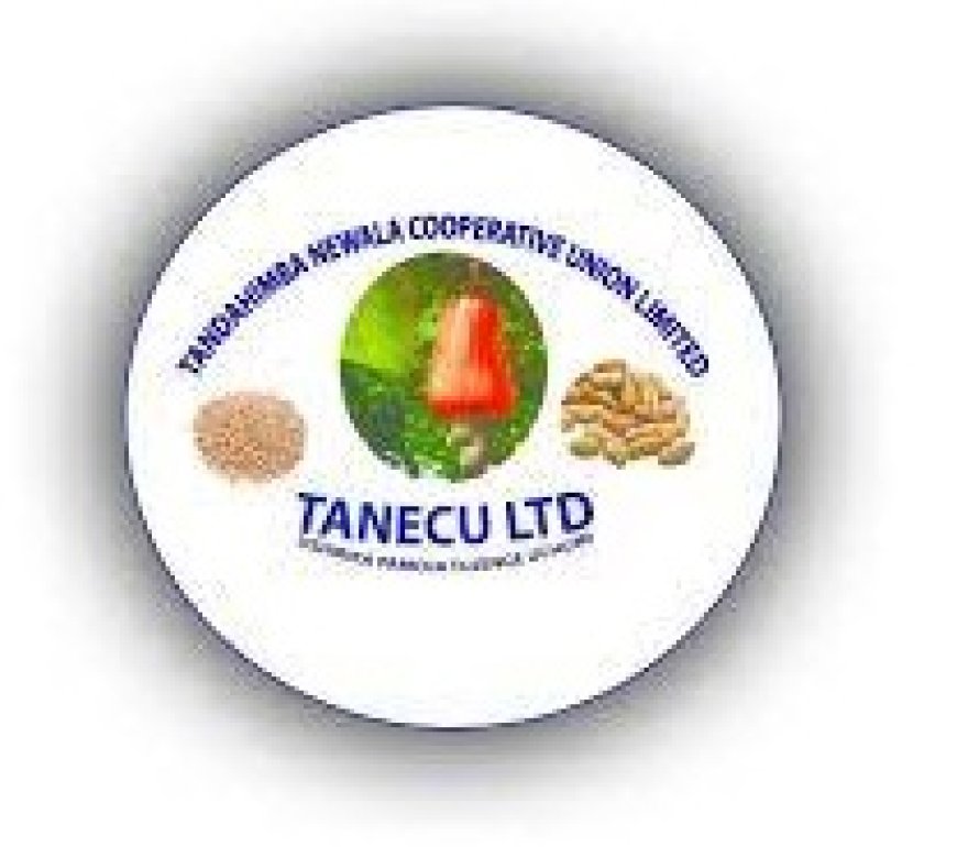 Chief Internal Auditor Job Vacancy at TANECU Ltd