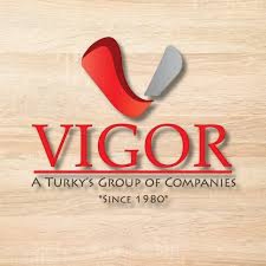 General Manager – Vessel Operations at VIGOR Group of Companies