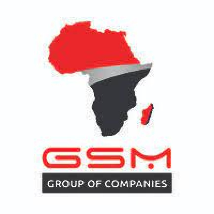 Chief Commercial Officer Job Vacancy at GSM Group Of Companies