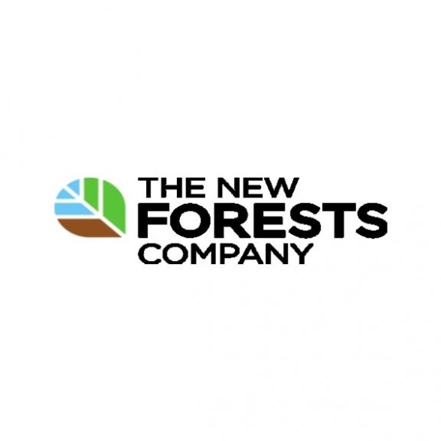 Community Forester Job Vacancy at New Forests Company