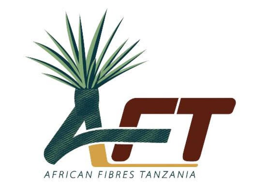 Workshop Supervisor at African Fibres Tanzania Limited