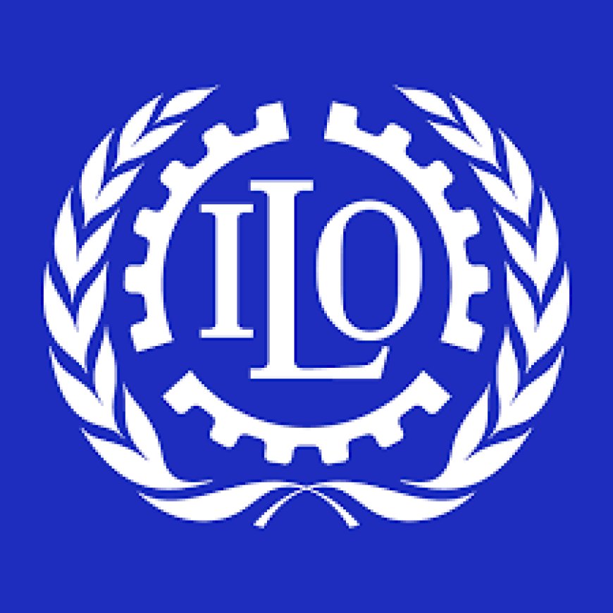 Senior Finance and Administrative Assistant at ILO