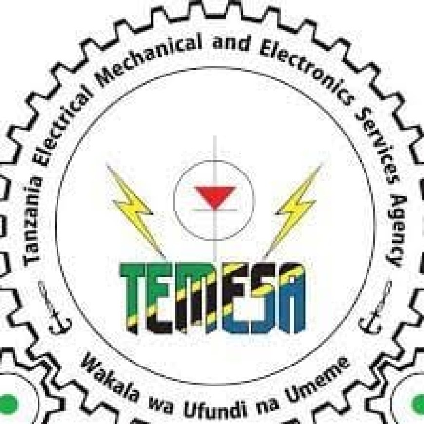 Regional Manager Job Vacancies – 12 Posts at TEMESA