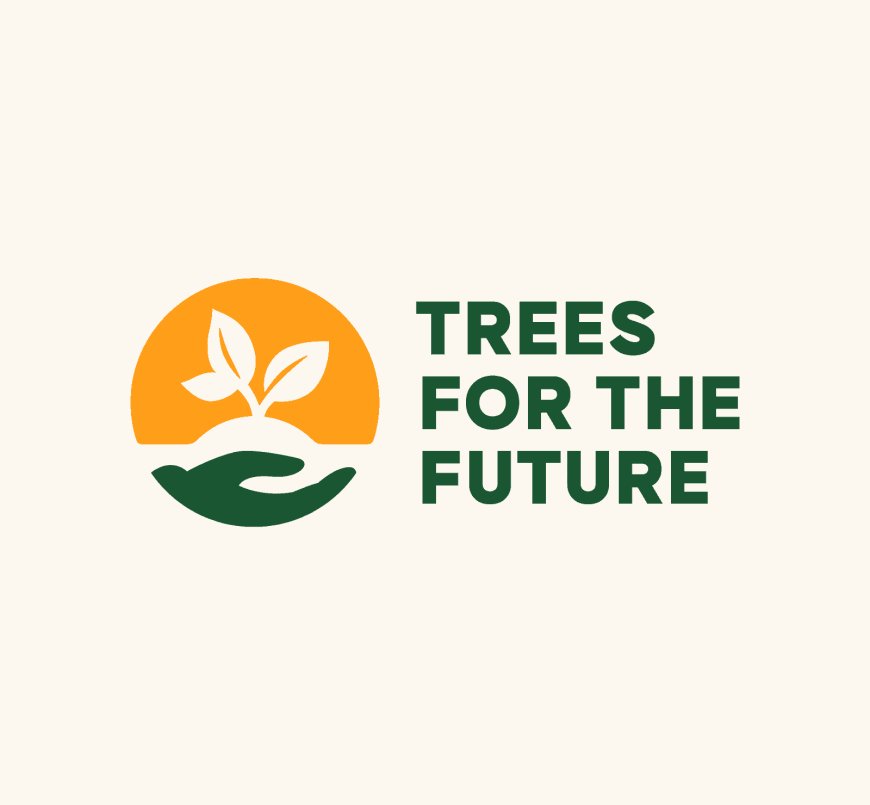 People and Culture Manager at Trees for the Future