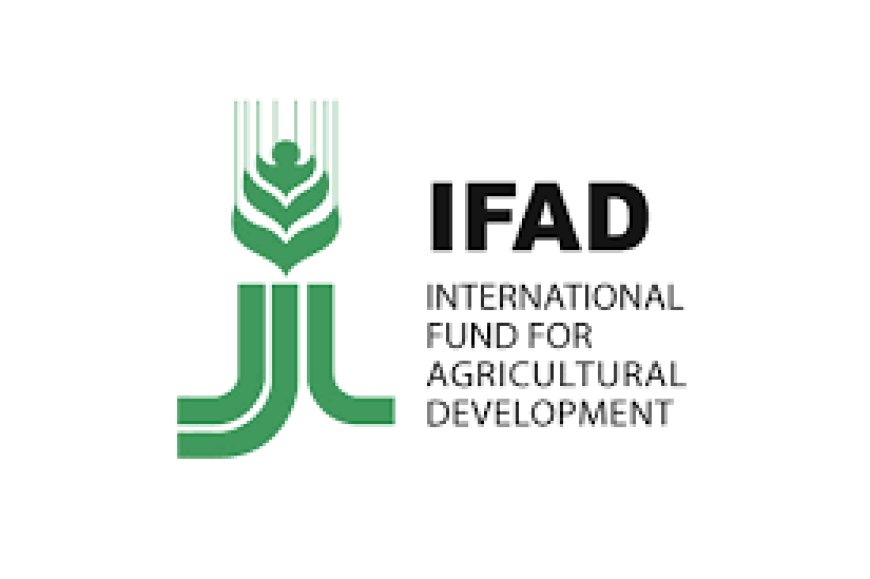 Administrative Secretary Job Vacancy at IFAD