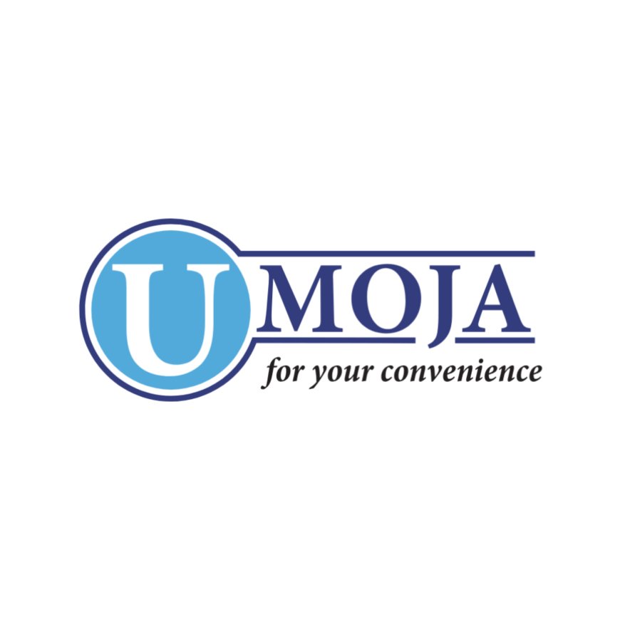 Senior Finance Officer Job Vacancy at Umoja Switch