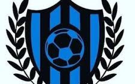 Marketing and Sales Coordinator Job Vacancy at Magnet Youth Sports Academy