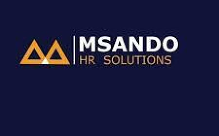 Personal Assistant Job Vacancy at Msando Hr Solutions