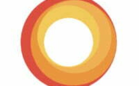 Environmental Advisor Job Opportunity at SeaOwl Group