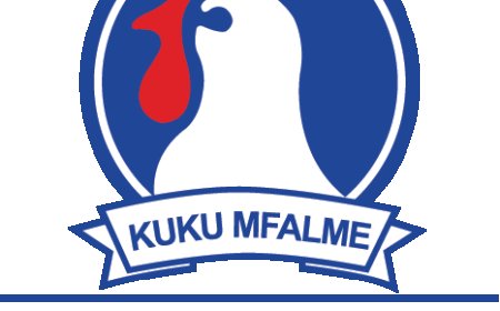 Zonal Sales Manager at Interchick