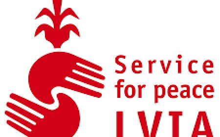 Environmental Engineer Job Vacancy at LVIA