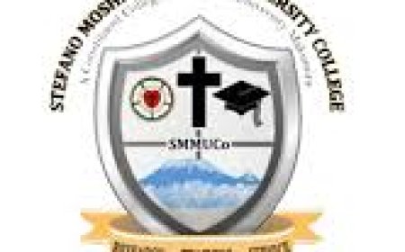 26 Lecturer & Assistant Lecturers at Stefano Moshi Memorial University College (SMMUCo)