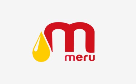 Manager – Logistics Job Vacancy at Mount Meru Group