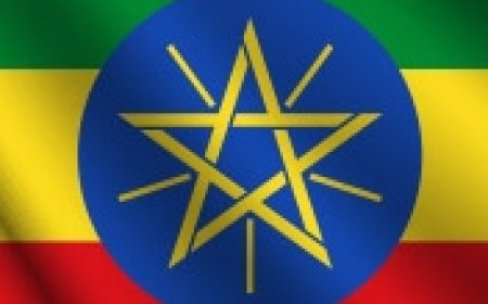 Driver Job Vacancy at Embassy of Ethiopia, Dar es Salaam