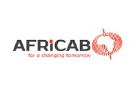 Procurement Executive – Tanzania at Africab Group