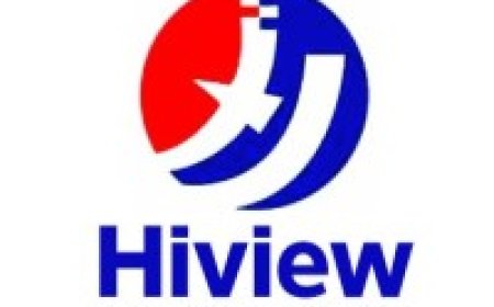Sales Executives at Hiview International