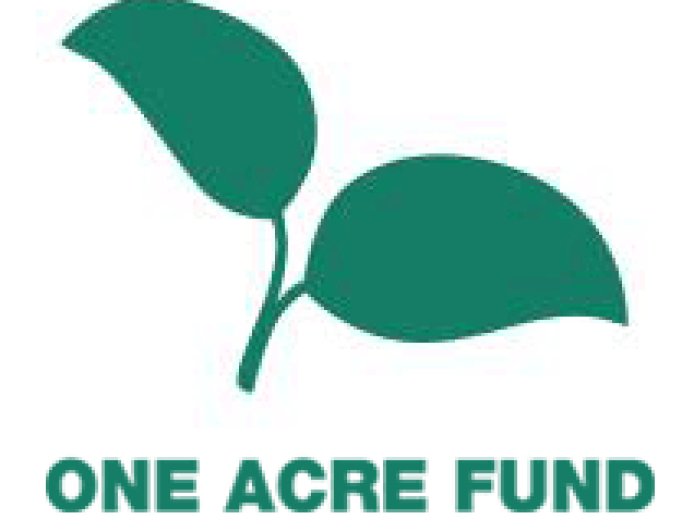 Carbon Credits Coordinator Job Vacancy at One Acre Fund