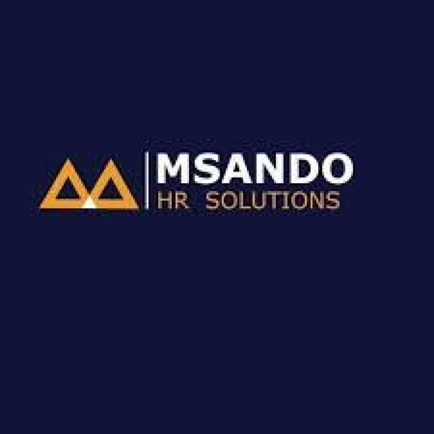 Senior Human Resource Officer Job Opportunity at Msando Hr Solutions