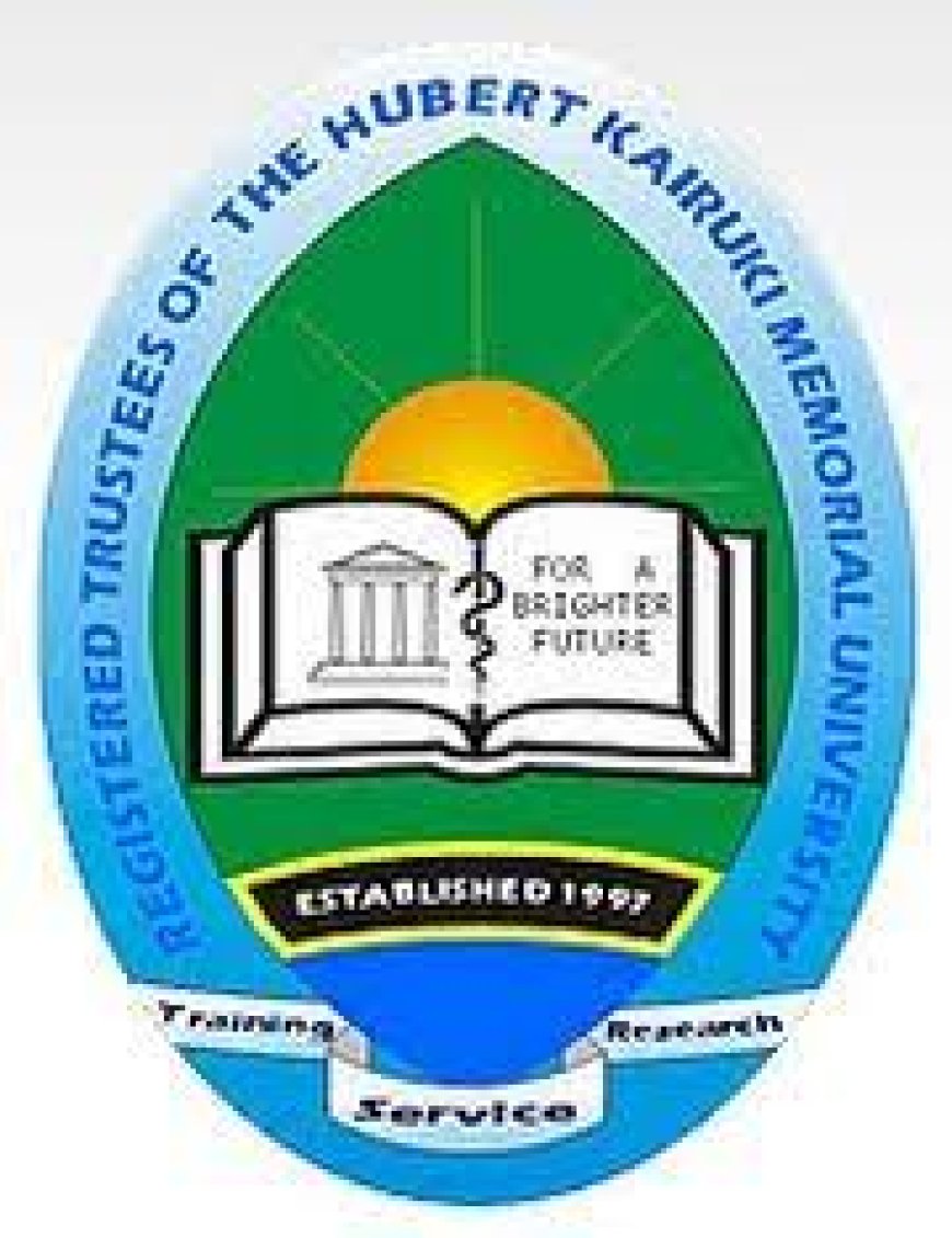 Stores Assistant Job Vacancy at Kairuki University
