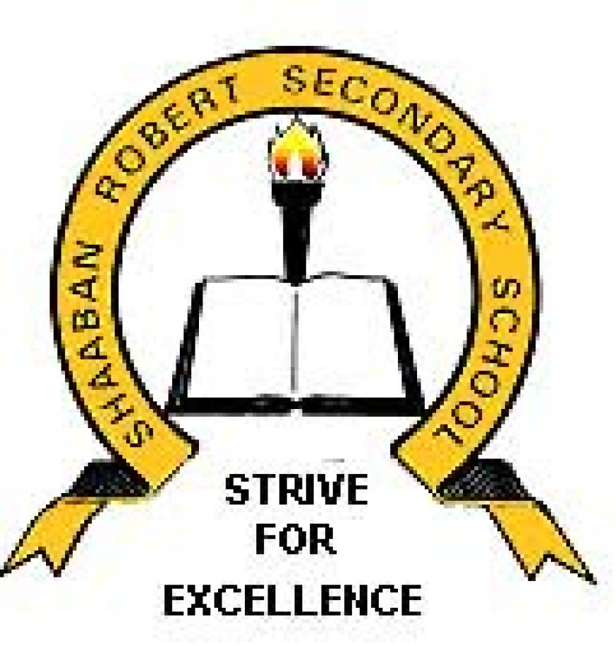 13 Teaching Job Vacancies at Shaaban Robert School