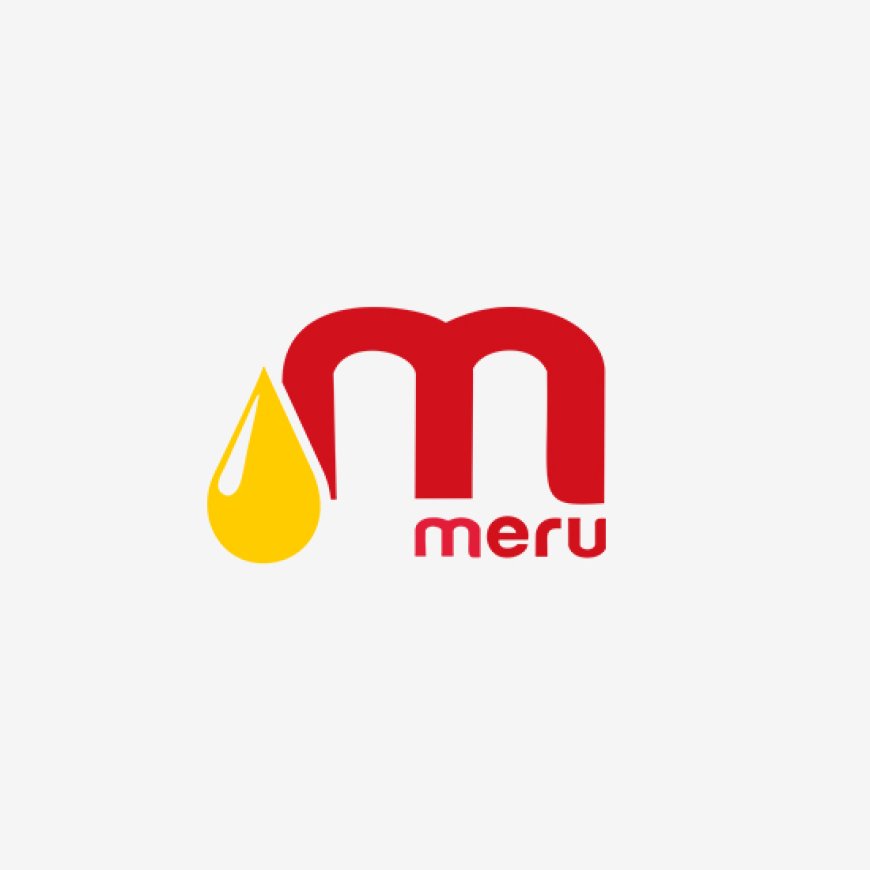 Manager – Logistics Job Vacancy at Mount Meru Group