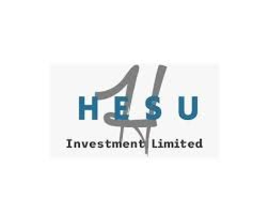 Compliance officer – Insurance at Hesu Investment Ltd