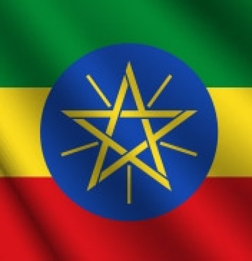 Driver Job Vacancy at Embassy of Ethiopia, Dar es Salaam
