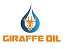 Assistant Accountant Job Vacancy at Giraffe Oil Company Limited